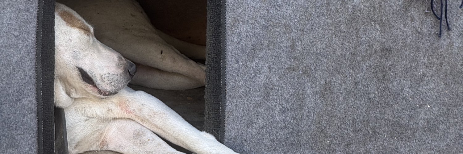 Assad Zulfiqar Khan banner