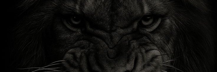 Resie banner