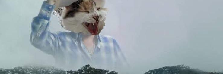 JimRecard's profile banner image