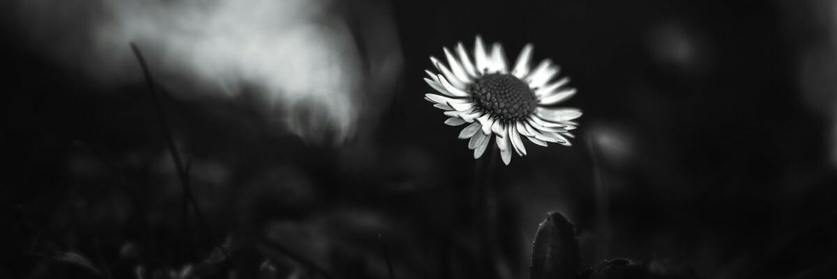 еслидатозачем banner
