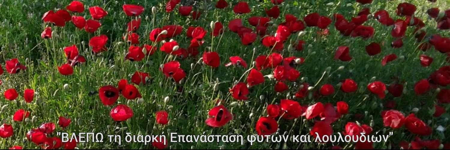 antoniskossy's profile banner image