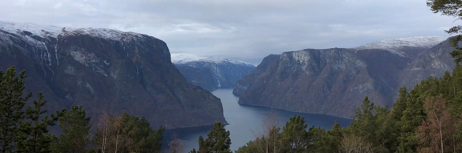 Jamie Roberts banner