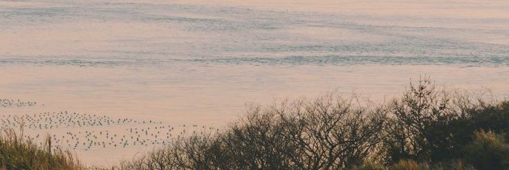 😶 banner