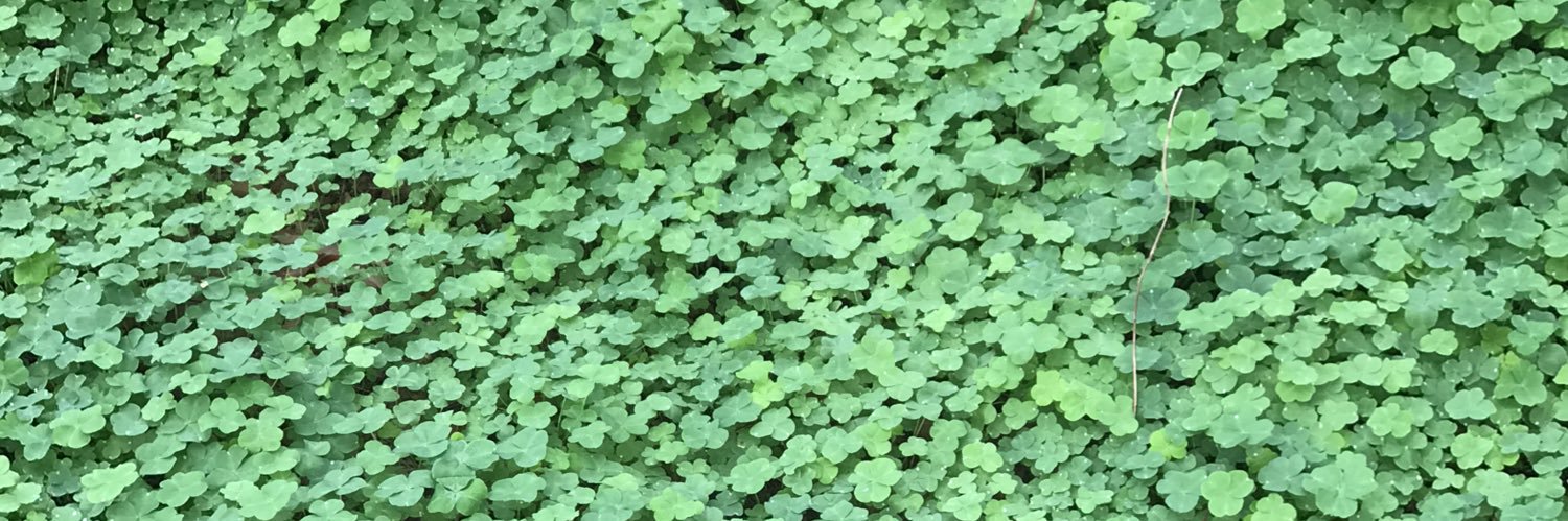 xpanpantx's profile banner image