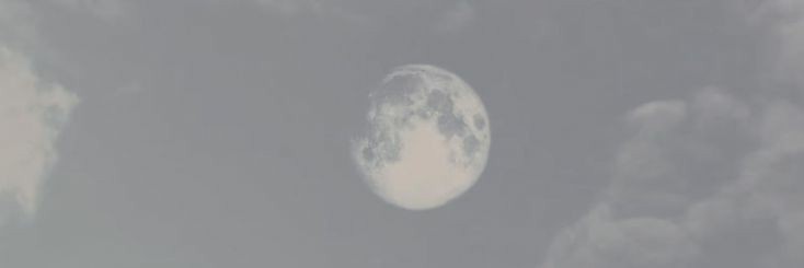 raaw banner