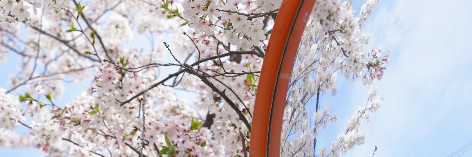 kawaoki_'s profile banner image