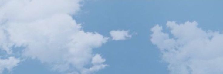altheacarmel's profile banner image