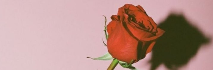 クレムザー banner