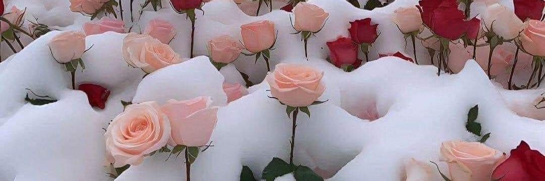 Just Lebogang(The Fixer ) banner