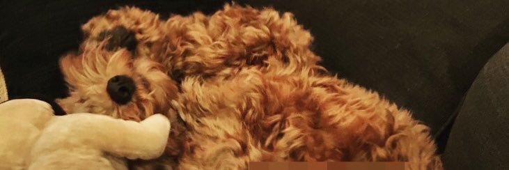 RealColinKemble's profile banner image