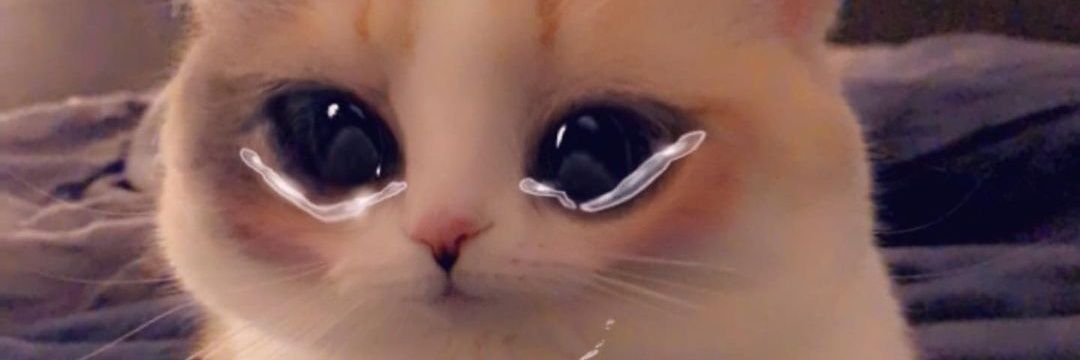ZeeLee228's profile banner image