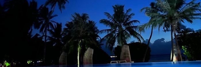xco4ii's profile banner image