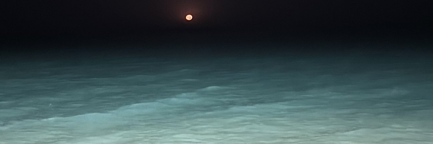 xu95l's profile banner image