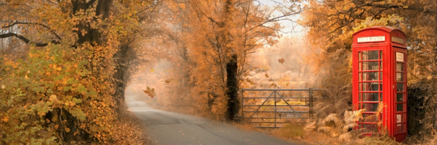 Lynniedrop's profile banner image