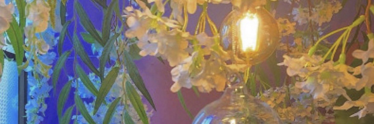 gracecasselman's profile banner image