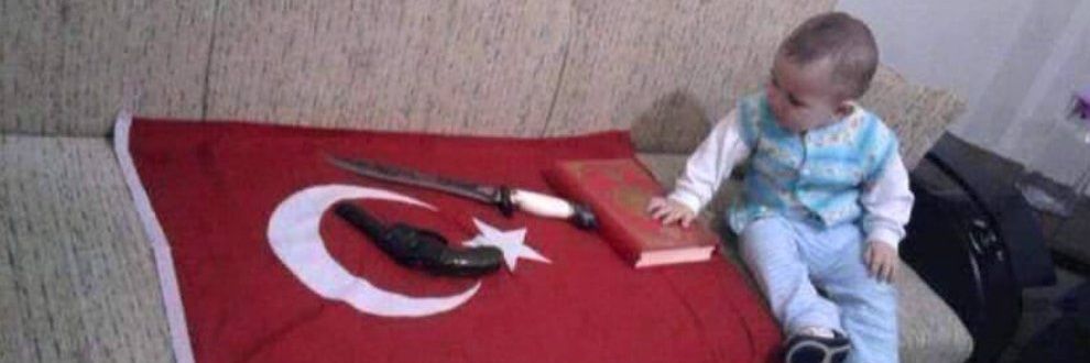 Bürküt banner