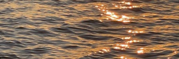 prangchaa Profile Banner