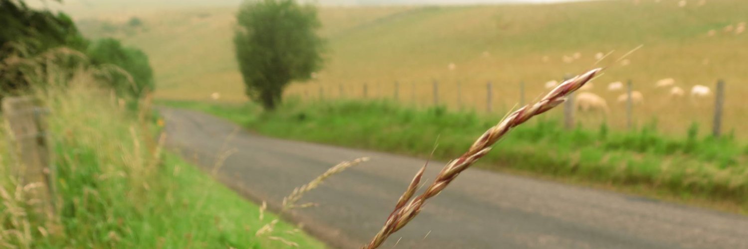 Rayna Andreeva banner