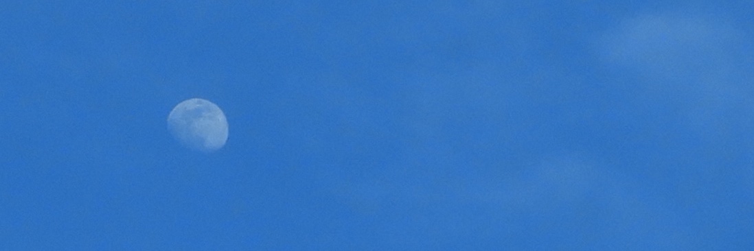 chrystalcats's profile banner image