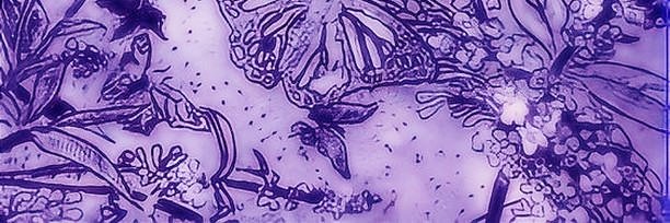x_mirri's profile banner image