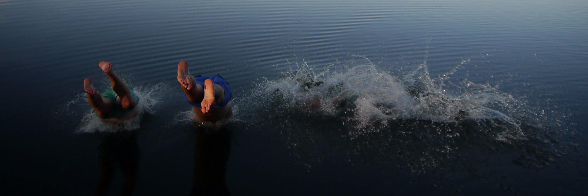 Amy Hannington banner