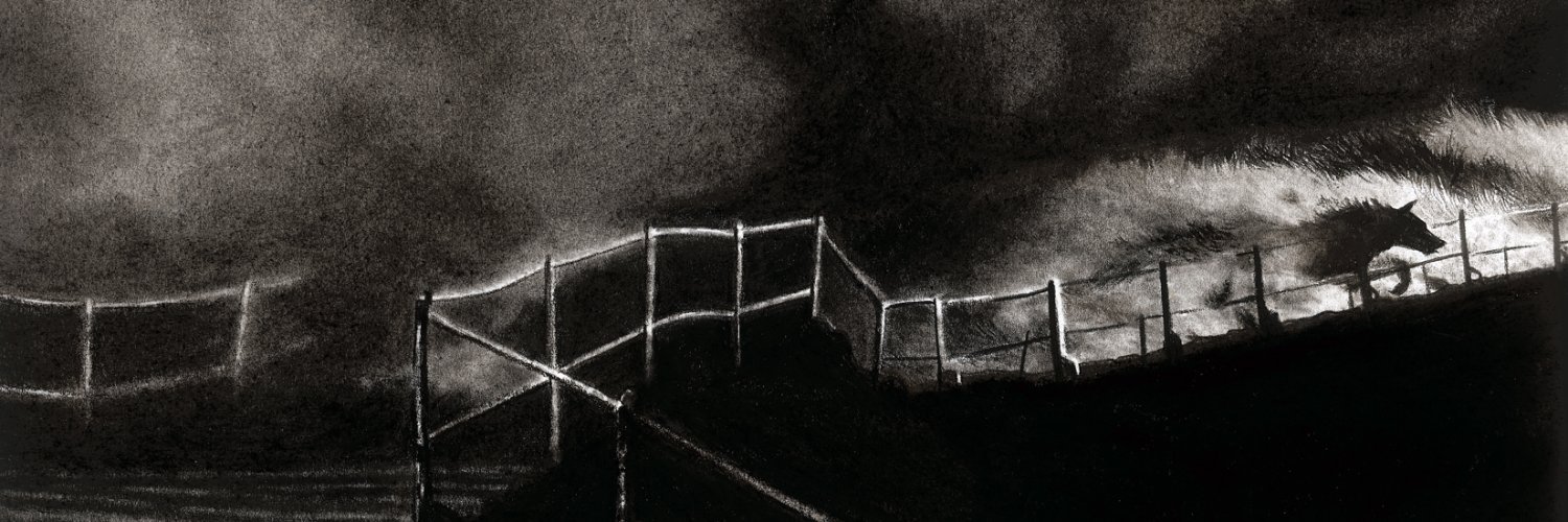 Sean Walter banner