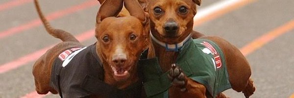 S_triple_B Profile Banner