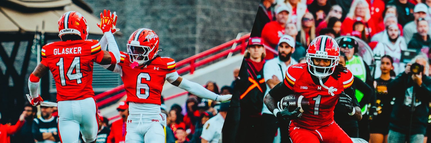 TerpsNetwork 🐢 banner