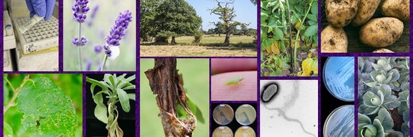BactPlantDis Profile Banner
