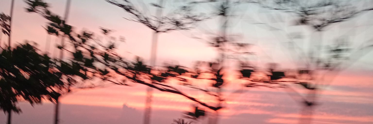 10Mopee's profile banner image