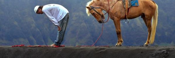 Shayne “RUFF” Milgate banner