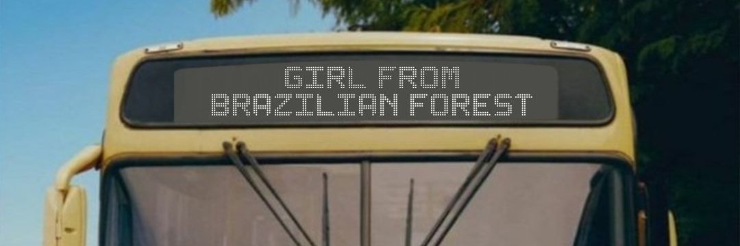 piabamazonica's profile banner image