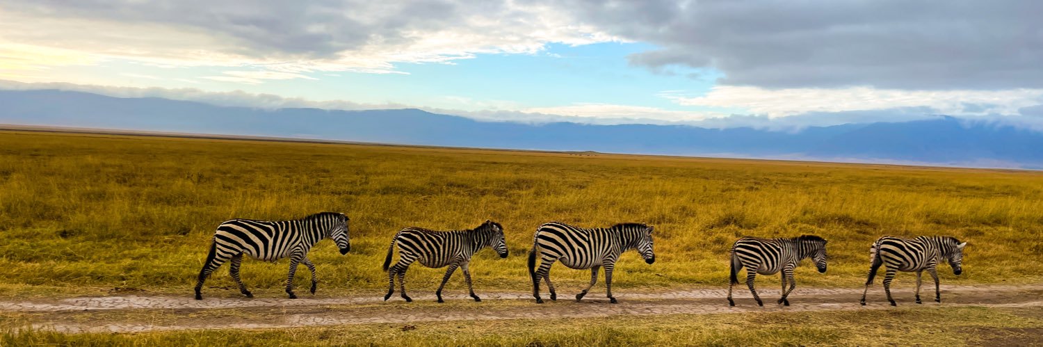 コージー｜とりあえずやってみる banner