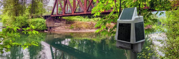 IntellisenseInc Profile Banner