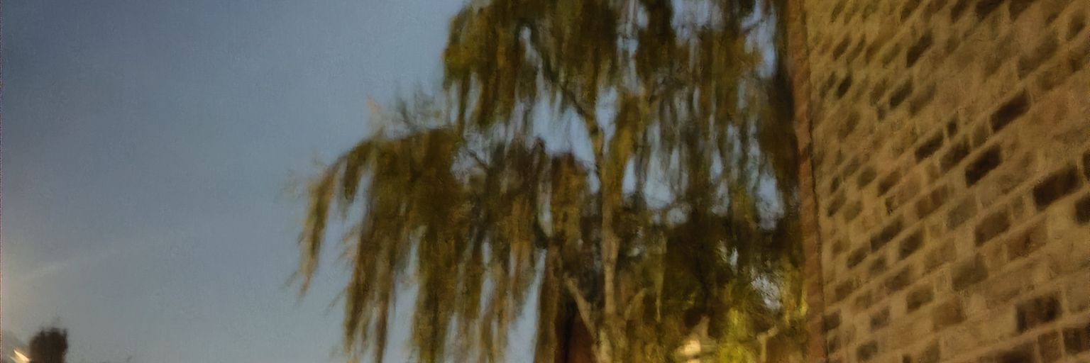 Benjamin Treeline banner