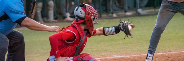 Bicho10026 Profile Banner