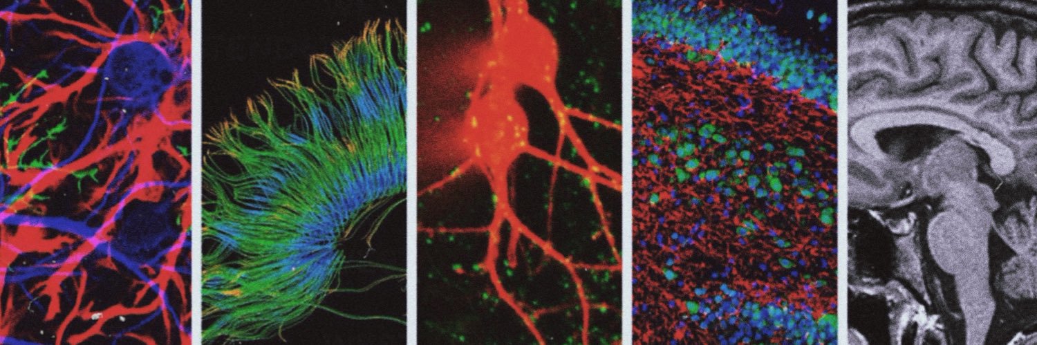 Wake Forest Graduate Programs in Neuroscience banner