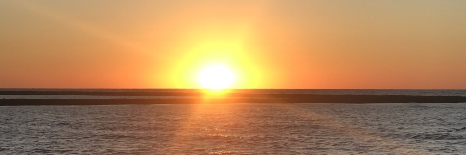 FRENZ__'s profile banner image