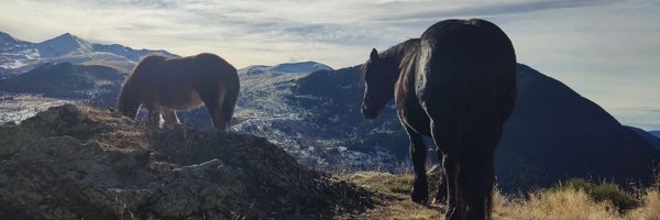 joeldiazbrah Profile Banner