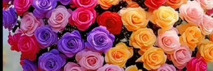 MineraNelza's profile banner image