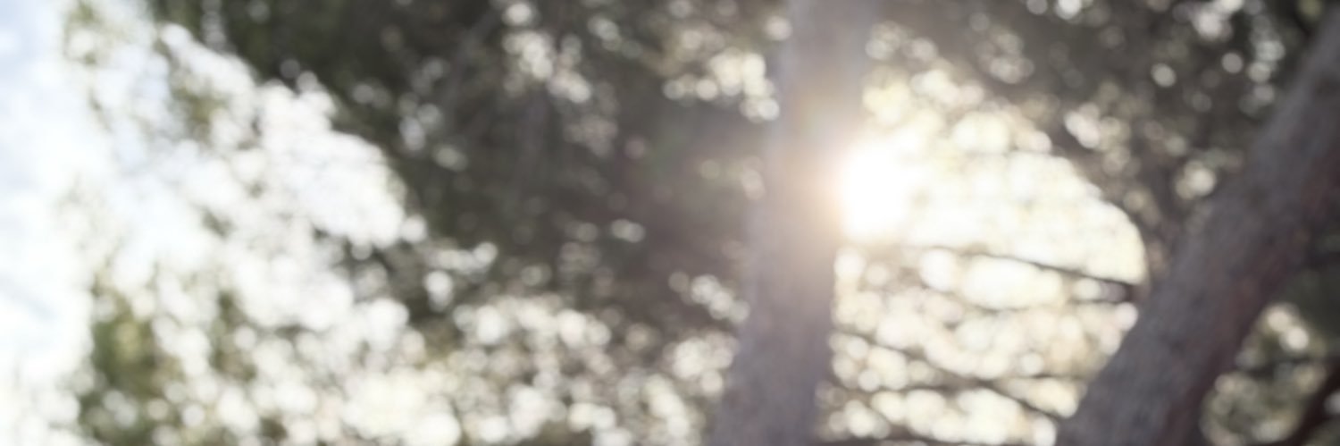 RayanTkm's profile banner image