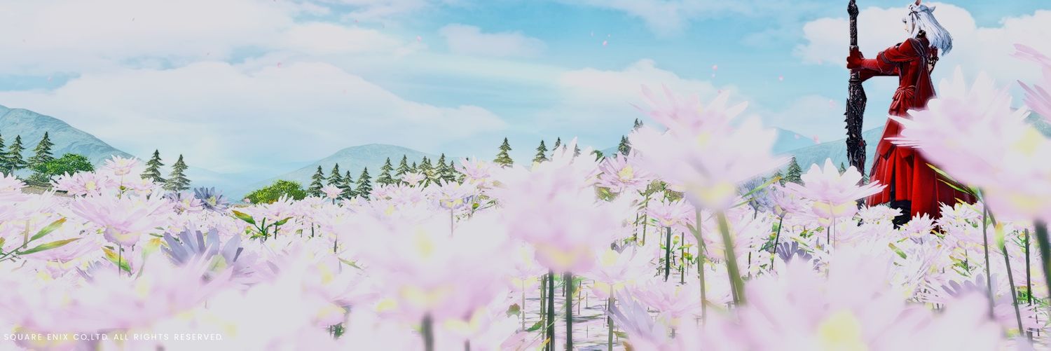 まよ banner
