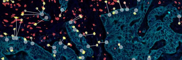 DigiPathFiona Profile Banner