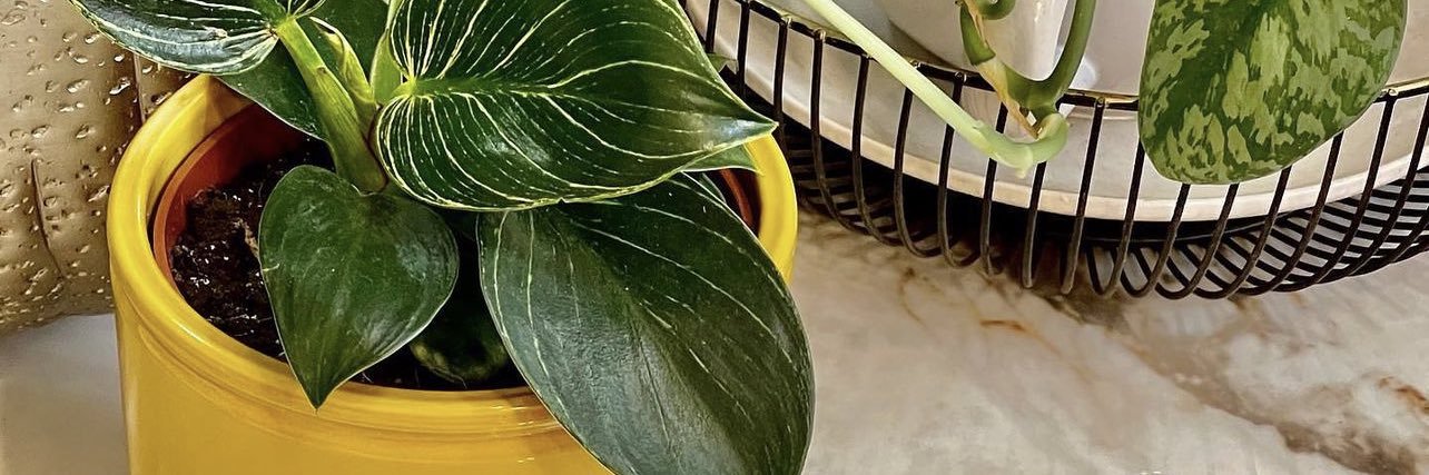 dtopicclothings's profile banner image