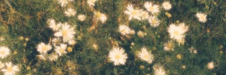 𝑠 banner