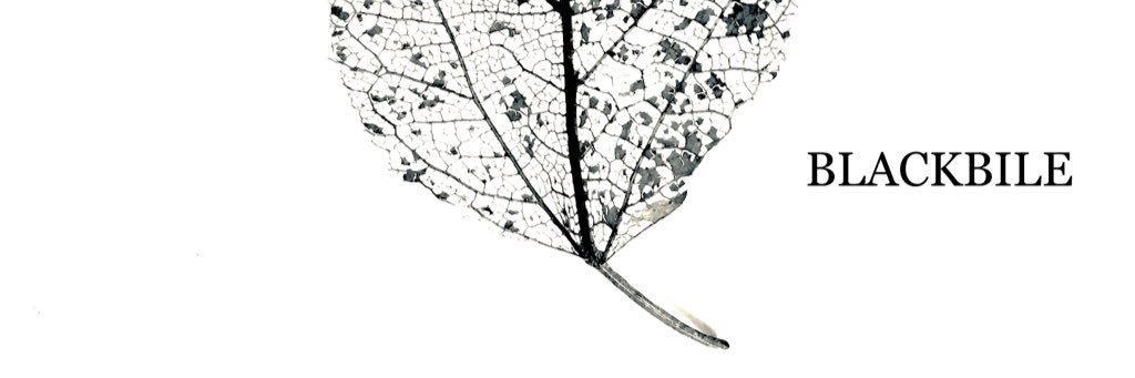 estevez_orumar's profile banner image