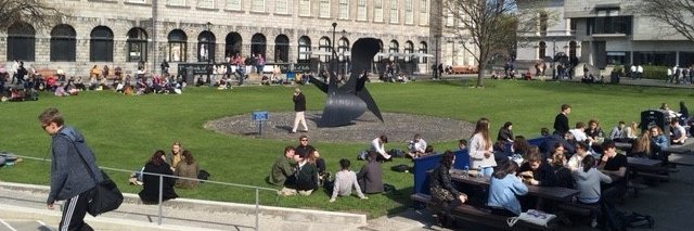 HealthyTrinity banner