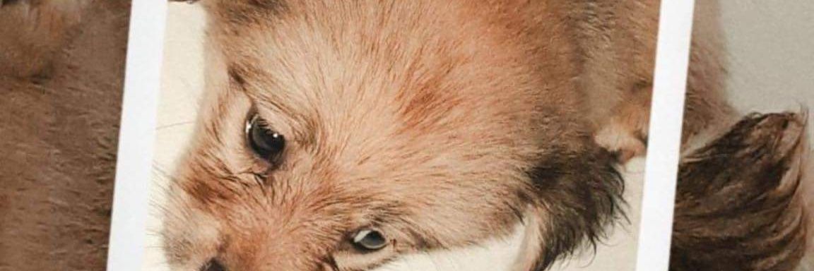 bannybravoooo's profile banner image