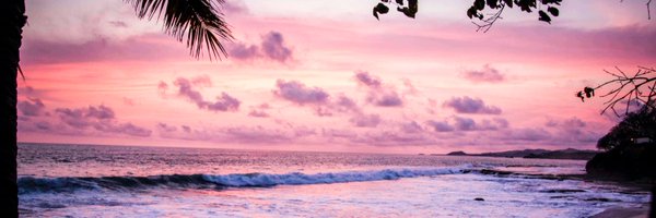 Firedancer121 Profile Banner