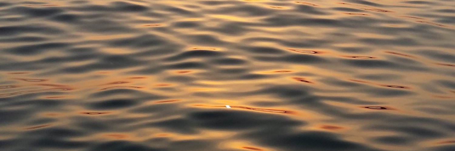 Eva - now on bluesky banner